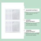 All-Natural Herbal Overnight Foot Detox Pads